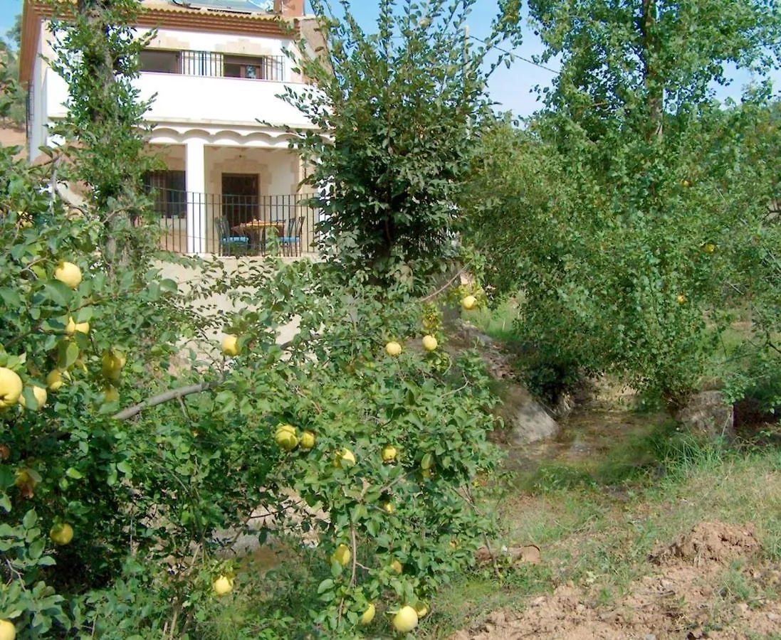 Spacious House Zambra + Pool Villa
